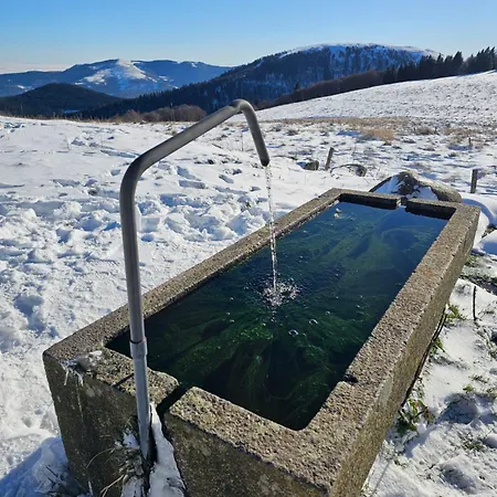 Lejlighed Superbe 2 A 6 Pers. Hyper Cocooning Gérardmer