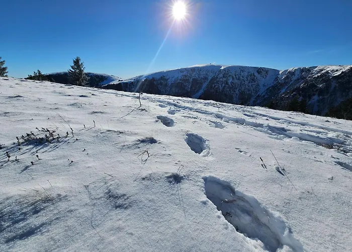 Apartman Superbe 2 A 6 Pers. Hyper Cocooning *